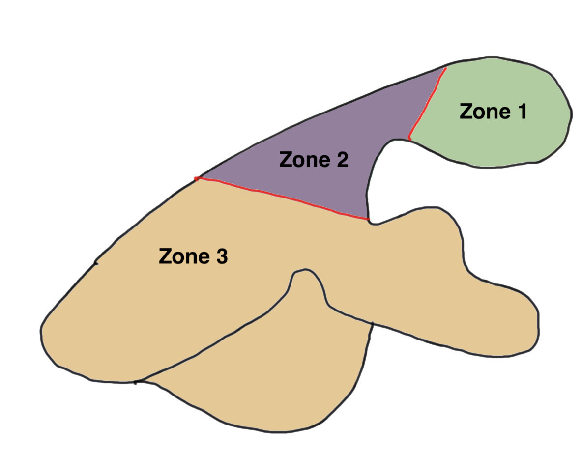 Levy Classification